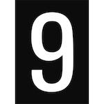 brady_911098