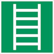 brady_803858