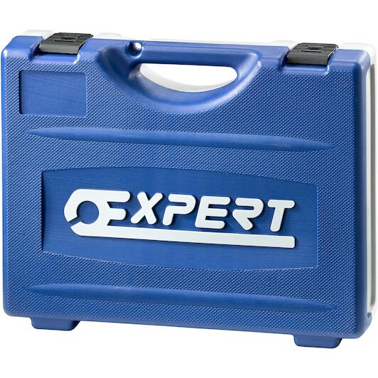 expert_e032938