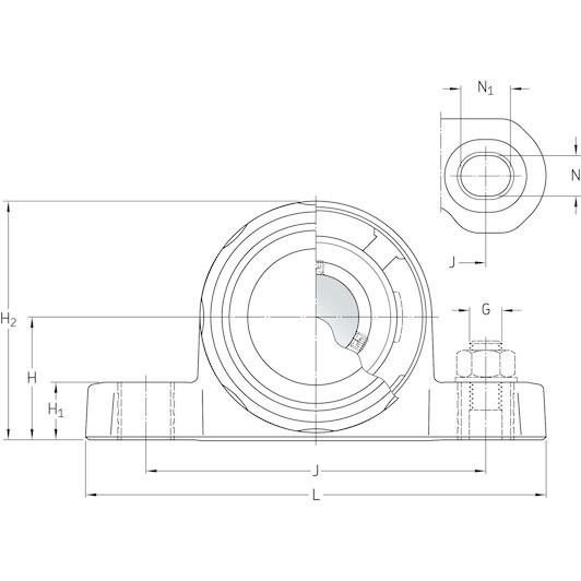 skf_p2bc30m_cpss_dfh_3