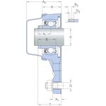 skf_f3bbc20m_cpss_dfh_2