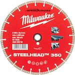 milwaukee_4932478709