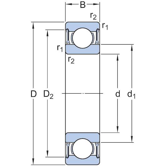 skf_6007_2rz_2