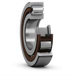 skf_nup2220ecp