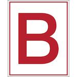 brady_255508
