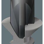 wera_05118092001