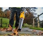 dewalt_dcmba572x1_qw