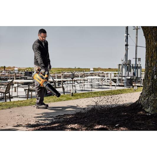 dewalt_dcmbl777n_xj