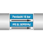 brady_268064
