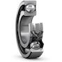 skf_6007_rs1