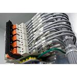 brady_032506_6