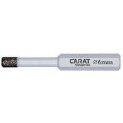 carat_erd0060000