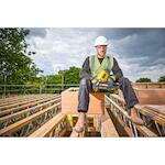 dewalt_dcn930n_xj