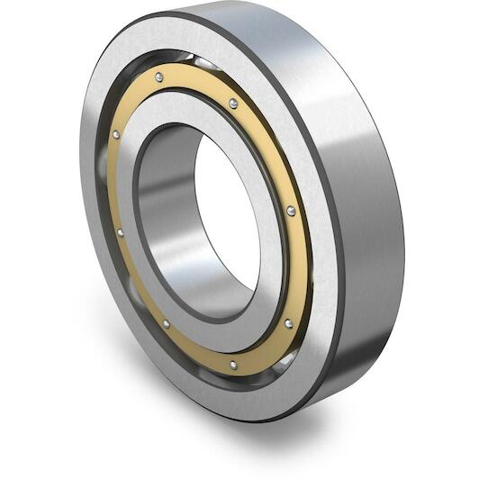 skf_63004_2rs1c3