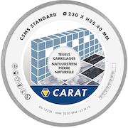 carat_csms110300