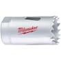 milwaukee_4932464679