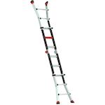 altrex_503733_3
