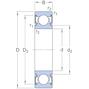 skf_6205_2rsl_2