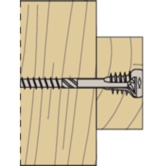 fischer_558880_9