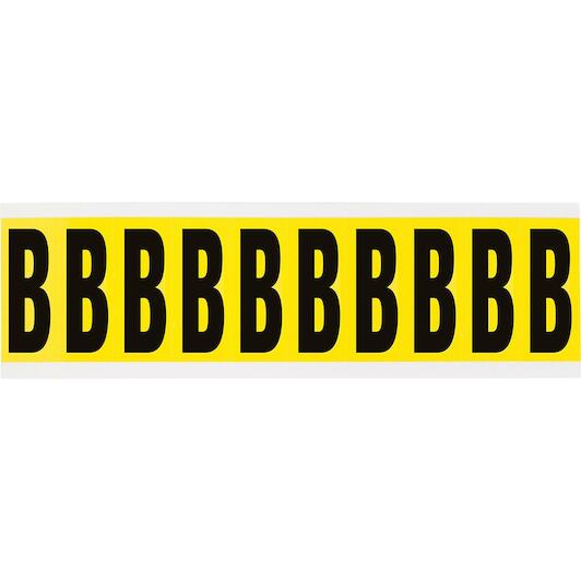 brady_034412