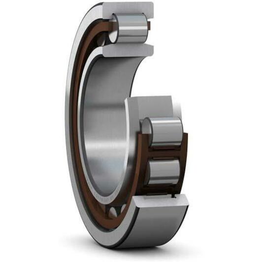 skf_nu1013ecp
