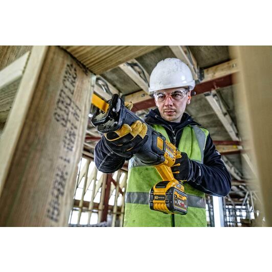 dewalt_dcs389x2_qw