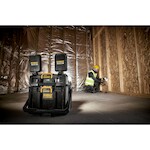 dewalt_dwst08061_1