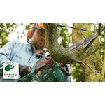 bosch_06008b8304