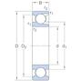 skf_213_2