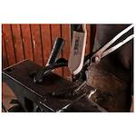 pferd_43673111_4