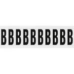 brady_234464