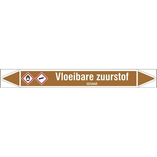 brady_n005452