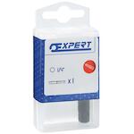 expert_e113649