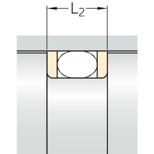 skf_str55x60x13_y95a_3