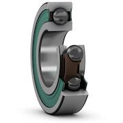 skf_6006_2rztn9hc5c3wt