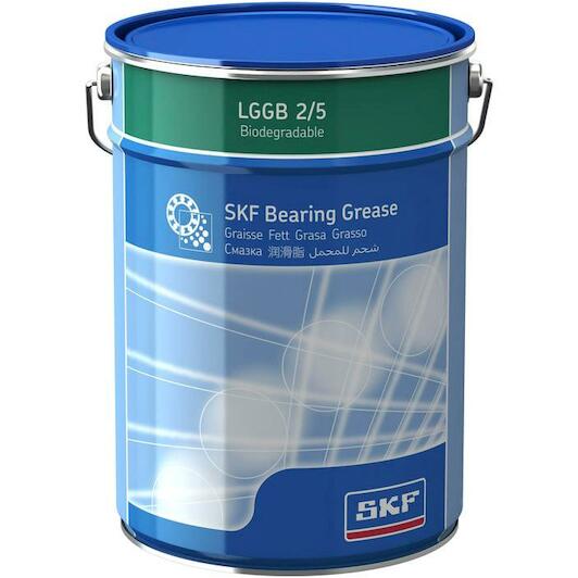 skf_lggb25