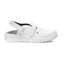 elten_74440_38_2