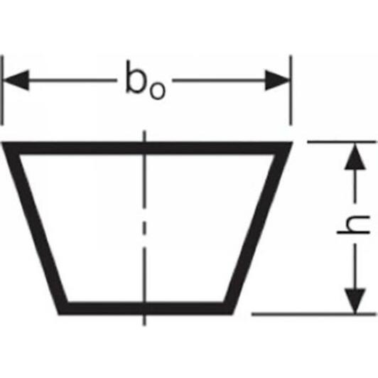 conti_220x2210_2