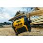 dewalt_dcr020_qw