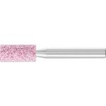pferd_31118254