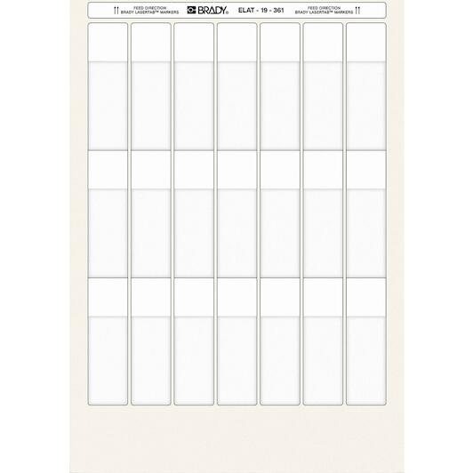 brady_029857