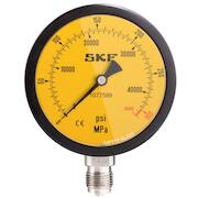 skf_1077589