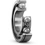skf_6007n