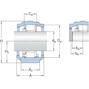 skf_snln3032_2