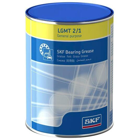 skf_lgmt21