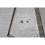 spit_060201