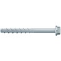 fischer_536856