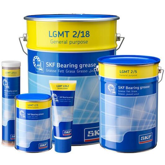 skf_lgmt25_2