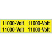 brady_251970