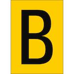 brady_911056